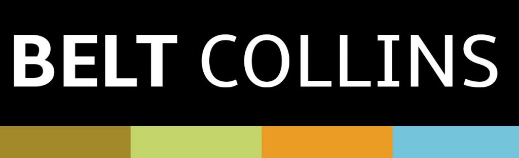 Belt Collins
